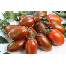 Редкие сорта томатов  ПАВЛИНЬЕ ПЕРО  